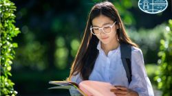 Tuyển sinh Liên thông Đại học chính quy năm 2026